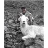 Image 2 : 10 day Yukon Dall sheep hunt- Bonnet Plume Outfitters