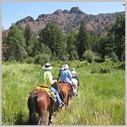 *Wyoming  4 Day  Summer Pack Trip for Four Adventurers