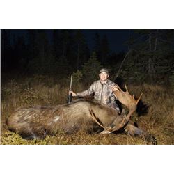 *Newfoundland  5 Day  Eastern Canada Moose and Black Bear Hunt for One