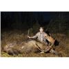 Image 1 : *Newfoundland  5 Day  Eastern Canada Moose and Black Bear Hunt for One