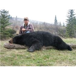 *Alberta 8 Day Black Bear Hunt for Two Hunters