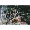 Image 1 : *British Columbia 10 Day Rocky Mountain Elk Hunt One Hunter