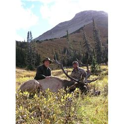 *Alberta 7 Day Elk Hunt for One Hunter