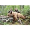 Image 1 : *Alberta 6 Day Black Bear and Wolf Hunt for One Hunter