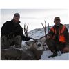 Image 1 : Montana – 8 Day –Mule Deer Hunt for Two Hunters