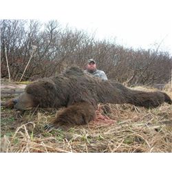 Alaska – 8 Day – Brown Bear Hunt for One Hunter