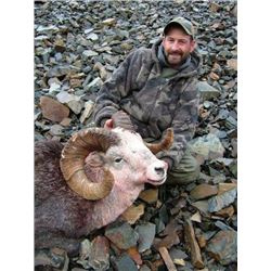 British Columbia – 14 Day – Stone Sheep, Wolf and Black Bear Hunt for One Hunter