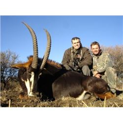 *South Africa 7 Day Sable Antelope Hunt for One Hunter and One Non-hunter