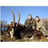 Image 1 : *South Africa 7 Day Sable Antelope Hunt for One Hunter and One Non-hunter