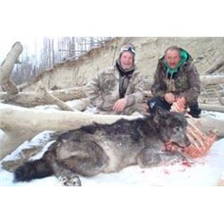 *British Columbia  7 Day Wolf Hunt for One Hunter