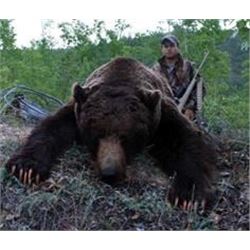 Yukon – 8 Day – Interior Grizzly and Black Bear (2) Hunt for One Hunter
