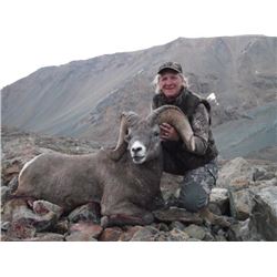 British Columbia – 14 Day – California Big Horn Sheep Hunt for One Hunter