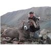 Image 1 : British Columbia – 14 Day – California Big Horn Sheep Hunt for One Hunter