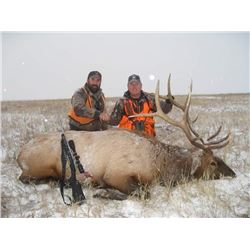 *Montana 6 Day Elk Hunt for One Hunter