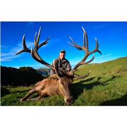 *New Zealand 4 Day  Red Stag Hunt for One Hunter