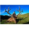 Image 1 : *New Zealand 4 Day  Red Stag Hunt for One Hunter