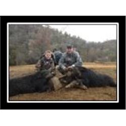 California - 3 Day – Wild Boar Hunt for Two Hunters