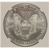 Image 3 : 2003 AMERICAN SILVER EAGLE, NGC MS-69