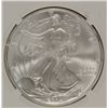 Image 2 : 2004 AMERICAN SILVER EAGLE, NGC MS-69