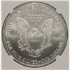 Image 3 : 2004 AMERICAN SILVER EAGLE, NGC MS-69