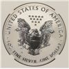 Image 3 : 2012-S $1.00 AMERICAN SILVER EAGLE, REVERSE PROOF, NGC PROOF-69  TROLLEY LABEL