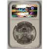 Image 4 : 2011 SILVER AMERICAN EAGLE NGC MS-69