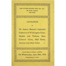 The Brenner Washingtonia