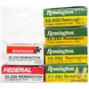Image 1 : 101 RNDS 22-250 REMINGTON