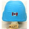 Image 2 : CANADIAN FORCES UN HELMET
