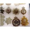 Image 2 : 31 HAT BADGES.