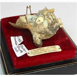 A fragment from an Islamic blown glass animal flask