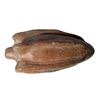 Image 6 : Colima phytomorphic pipe in the shape of a gourd