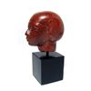 Image 3 : An Egyptian Red jasper head of a man