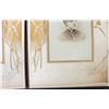 Image 5 : LARGE VICTORIAN ERA PHOTO ALBUM WITH 35 PHOTOS