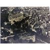 Image 3 : FRAMED PERIOD PHOTO OF HITLER'S PLANE-D2600 C.1934