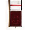 Image 2 : FITTED NAZI IRON CROSS 2 HARD SHELL CASE