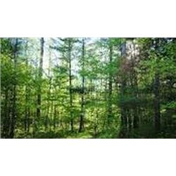 Michigan Wildlife Habitat Consultation