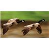 Image 1 : Three Day Hunt for Canadian Geese and Upland Birds for Two