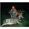 Image 1 : Five Day Trophy Whitetail Deer Hunt for One