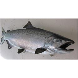 1/2 Day Lake Michigan Salmon Fishing Trip for 2 to 4 People