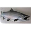 Image 1 : 1/2 Day Lake Michigan Salmon Fishing Trip for 2 to 4 People