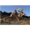 Image 1 : Five Day Whitetail Deer Hunt for One Hunter and One Non-Hunter