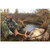 Image 1 : Seven Day Hunt for Two Caribou or One Caribou and One Black Bear