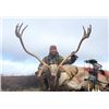 Image 2 : Seven Day Hunt for Two Caribou or One Caribou and One Black Bear