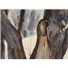 Image 2 : Al Stine Original Watercolor Painting Winter Tree