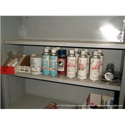 CONTENTS: SHELF--ASSORTED SPRAY PAINT