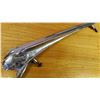 Image 1 : Hood Ornament