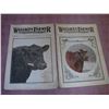 Image 1 : 1909 Wallace Farm Magazines