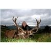 Image 9 : New Zealand: Kaweka Hunting, Silver Medal Red Stag