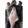 Image 2 : Alaska: Fishing Bear Charters, 2 Day Salmon 